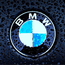 MMM's Avatar